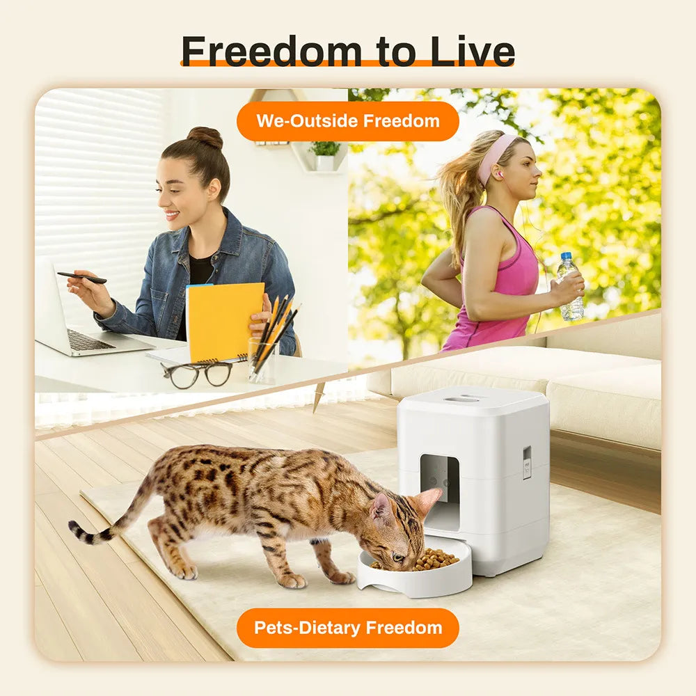 Smart Wi-Fi Pet Feeder with App Control | The Waggy Dept.